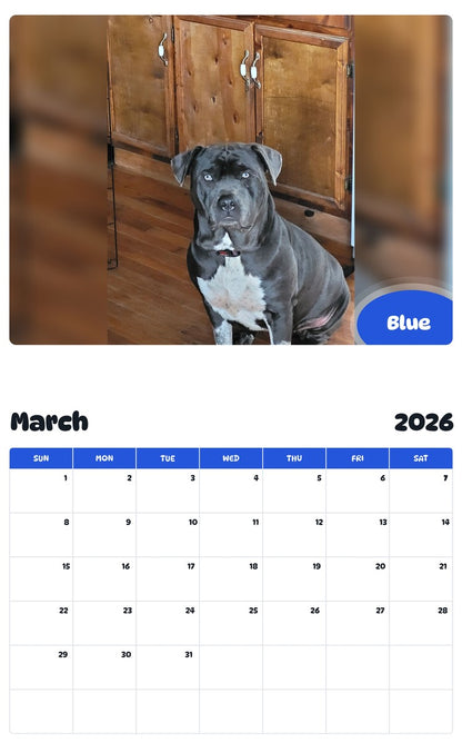 November 2025 - October 2026 Blue - Pawidols Pet Calendar