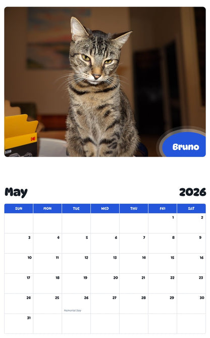2026 - 2027 Bruno - Pawidols Pet Calendar