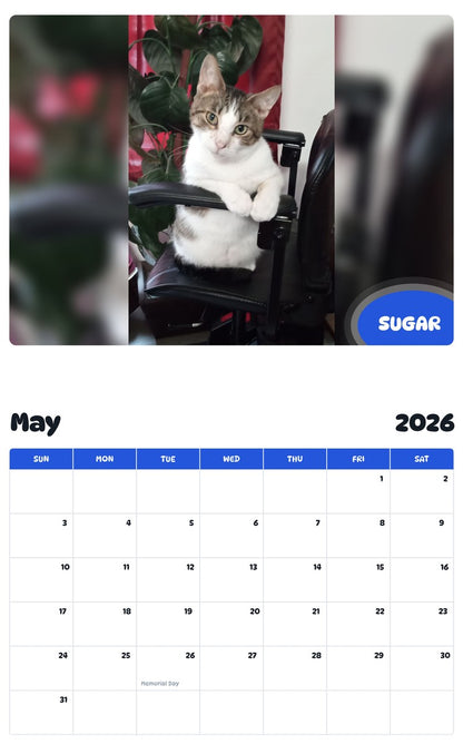 2026 - 2027 SUGAR - Pawidols Pet Calendar