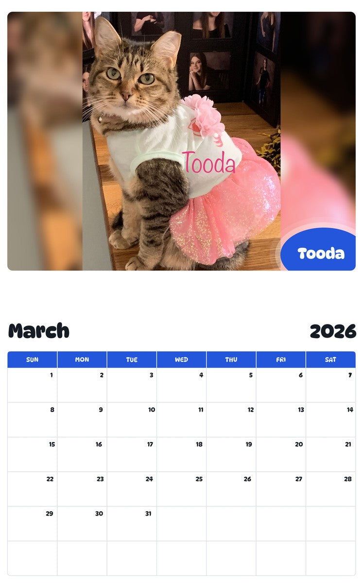 November 2025 - October 2026 Tooda - Pawidols Pet Calendar