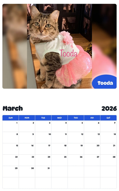 November 2025 - October 2026 Tooda - Pawidols Pet Calendar