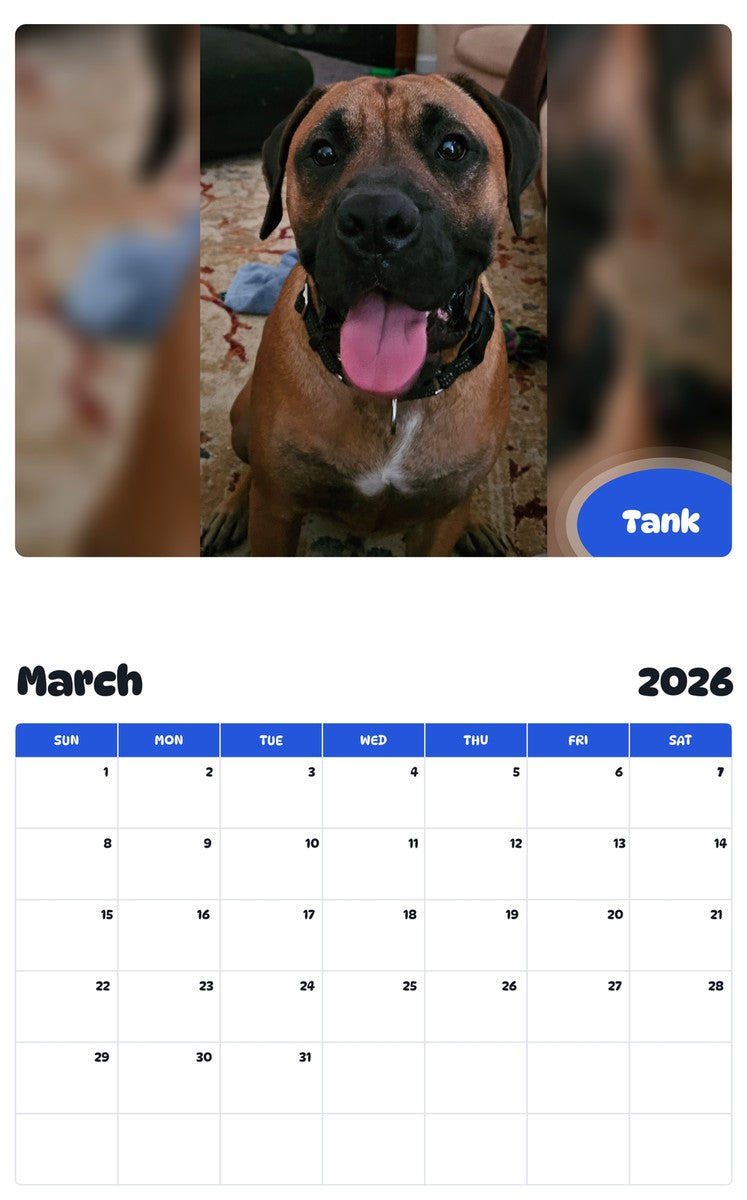 November 2025 - October 2026 Tank - Pawidols Pet Calendar