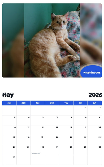 2026 - 2027 Mischievous - Pawidols Pet Calendar