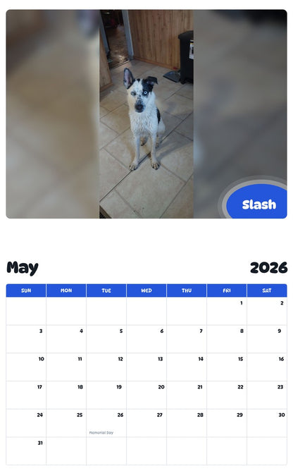 2026 - 2027 Slash - Pawidols Pet Calendar