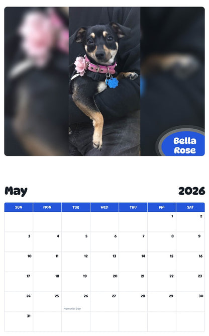 2026 - 2027 Bella Rose - Pawidols Pet Calendar
