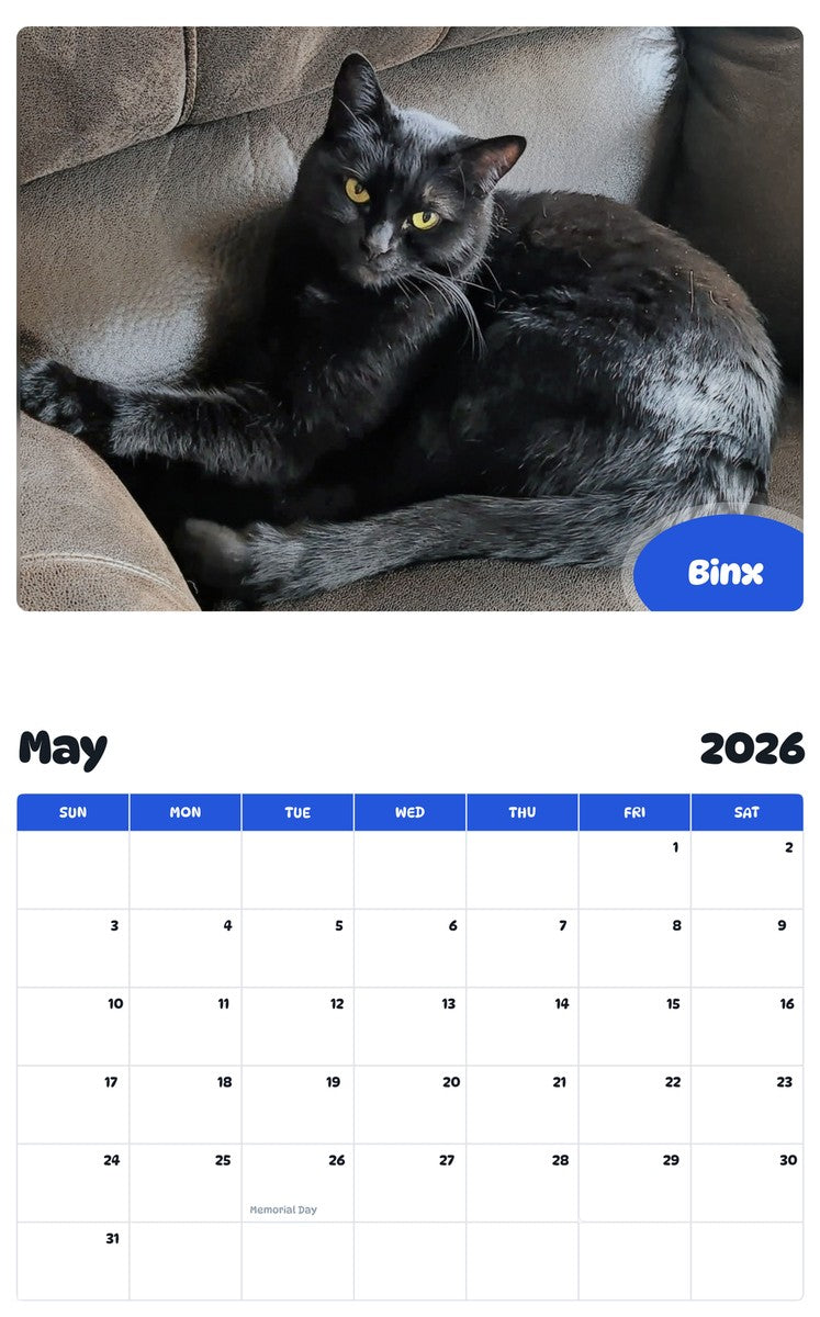 2026 - 2027 Binx - Pawidols Pet Calendar