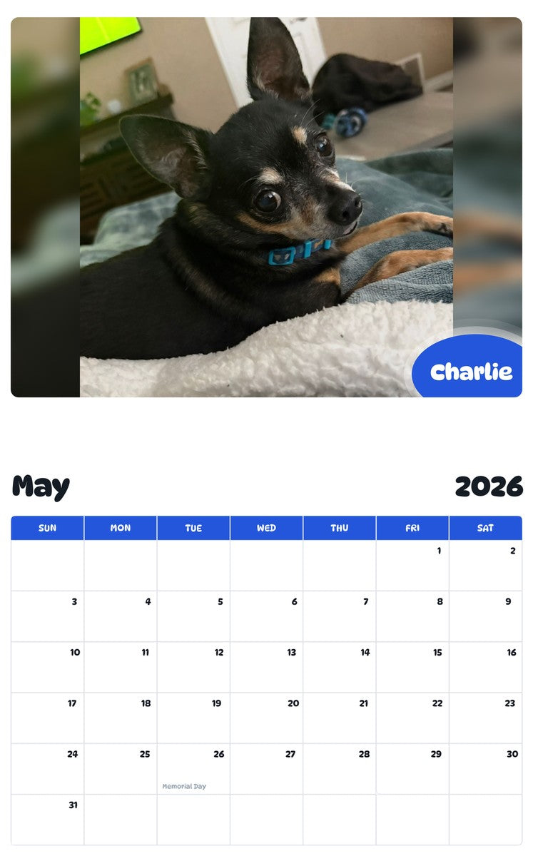 2026 - 2027 Charlie - Pawidols Pet Calendar