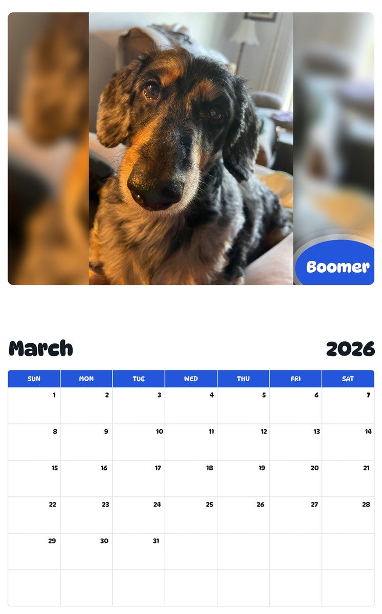 November 2025 - October 2026 Boomer - Pawidols Pet Calendar