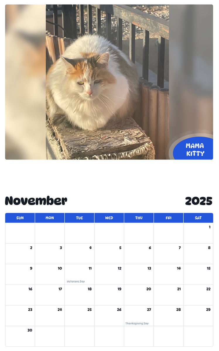 July 2025 - June 2026 Mama kitty - Pawidols Pet Calendar