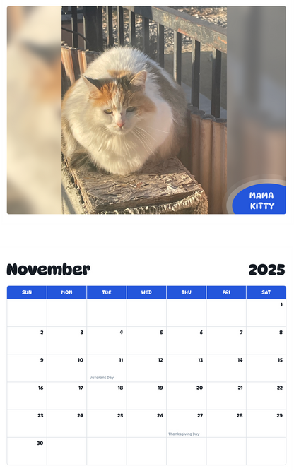 July 2025 - June 2026 Mama kitty - Pawidols Pet Calendar
