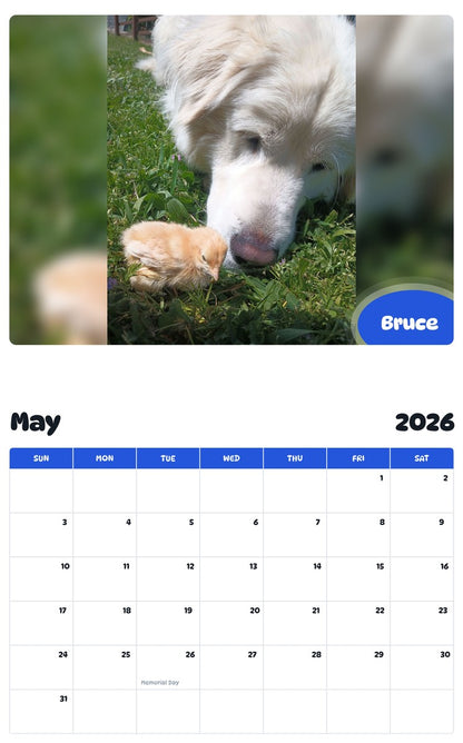 2026 - 2027 Bruce - Pawidols Pet Calendar