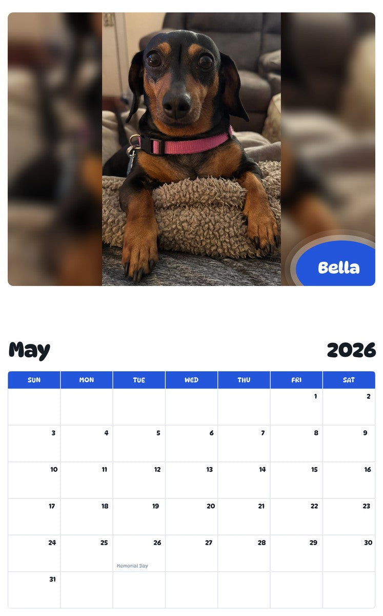 2026 - 2027 Bella - Pawidols Pet Calendar