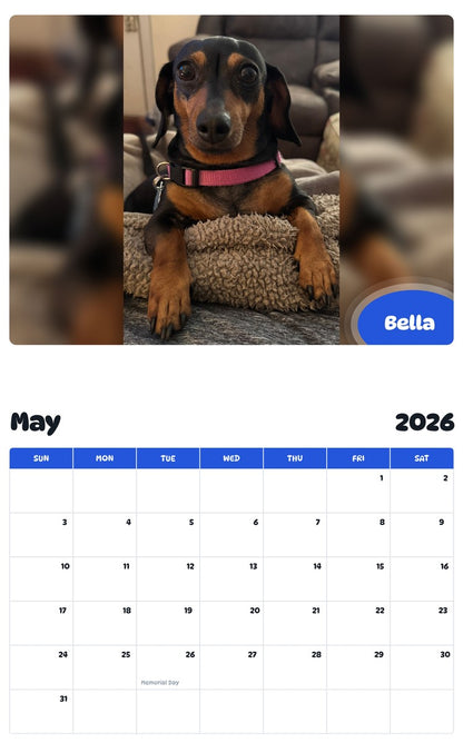 2026 - 2027 Bella - Pawidols Pet Calendar