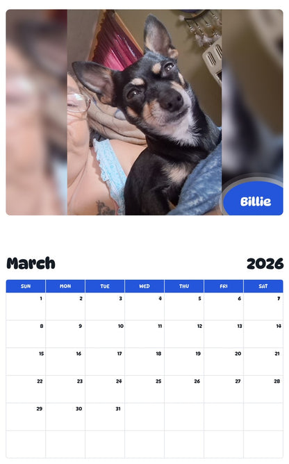 November 2025 - October 2026 Billie - Pawidols Pet Calendar