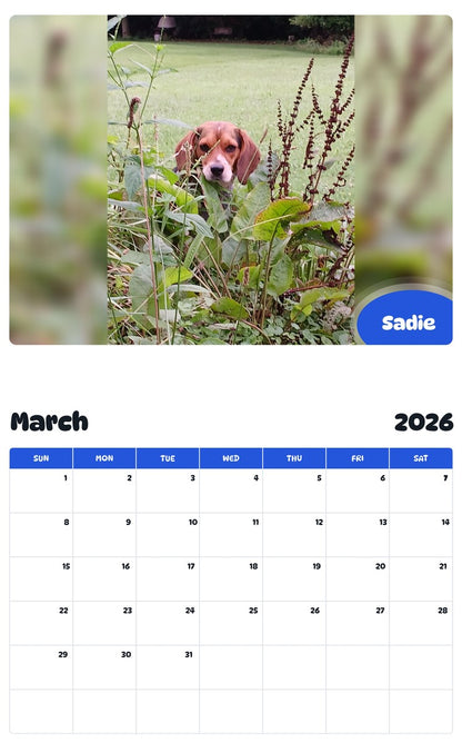 November 2025 - October 2026 Sadie - Pawidols Pet Calendar