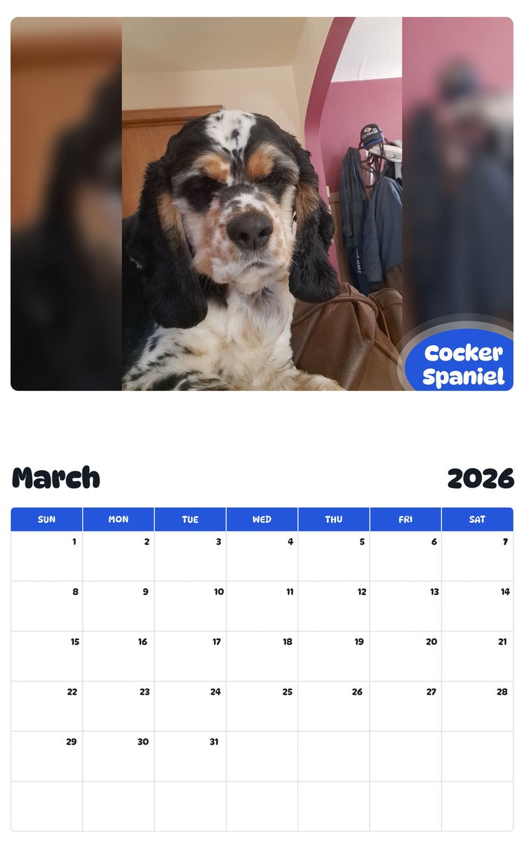 November 2025 - October 2026 Cocker Spaniel - Pawidols Pet Calendar