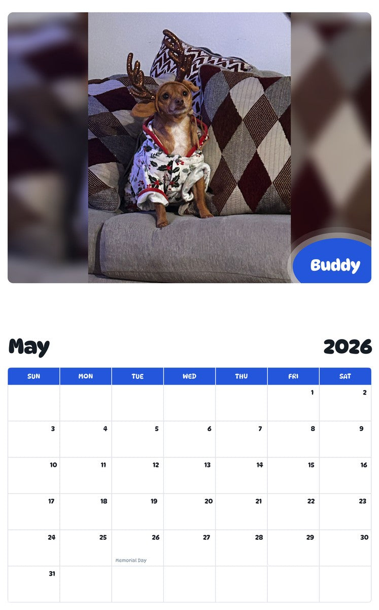 2026 - 2027 Buddy - Pawidols Pet Calendar