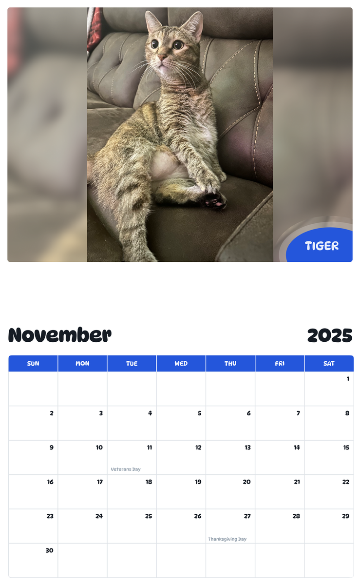 July 2025 - June 2026 Tiger - Pawidols Pet Calendar