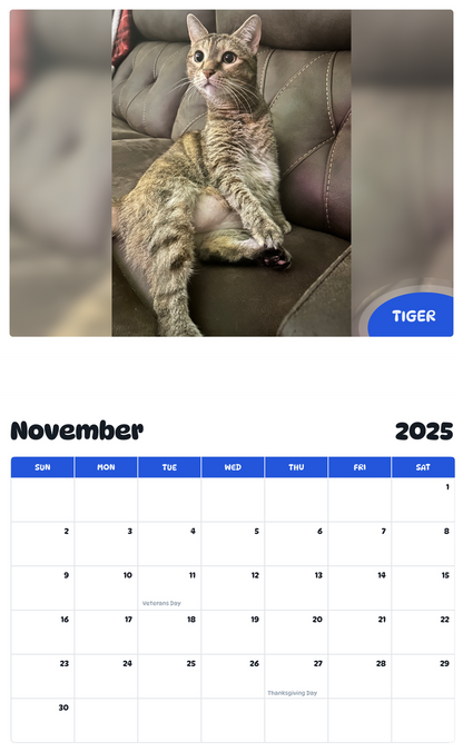 July 2025 - June 2026 Tiger - Pawidols Pet Calendar