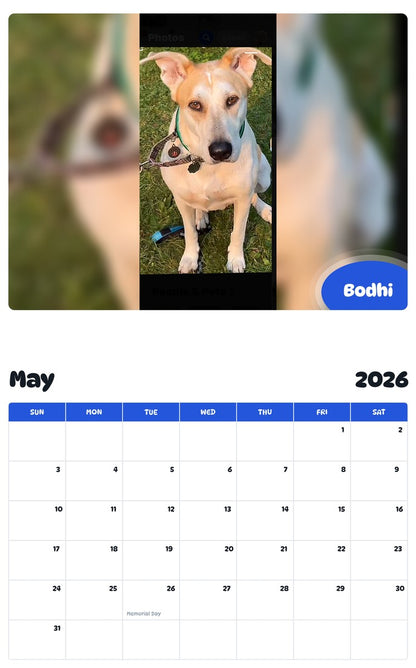 2026 - 2027 Bodhi - Pawidols Pet Calendar