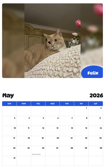 2026 - 2027 Felix - Pawidols Pet Calendar