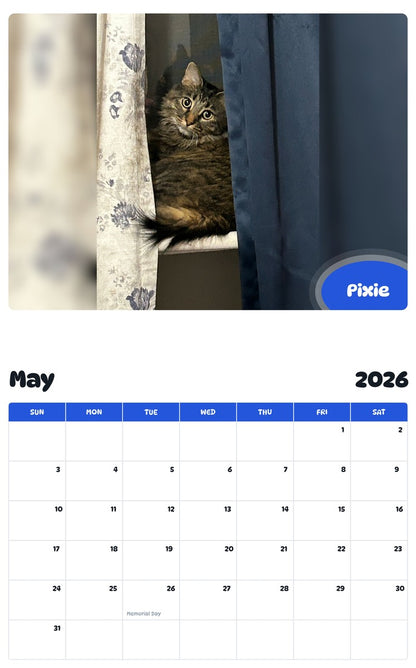 2026 - 2027 Pixie - Pawidols Pet Calendar