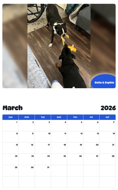 November 2025 - October 2026 Bella & Sophie - Pawidols Pet Calendar