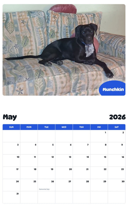 2026 - 2027 Munchkin - Pawidols Pet Calendar