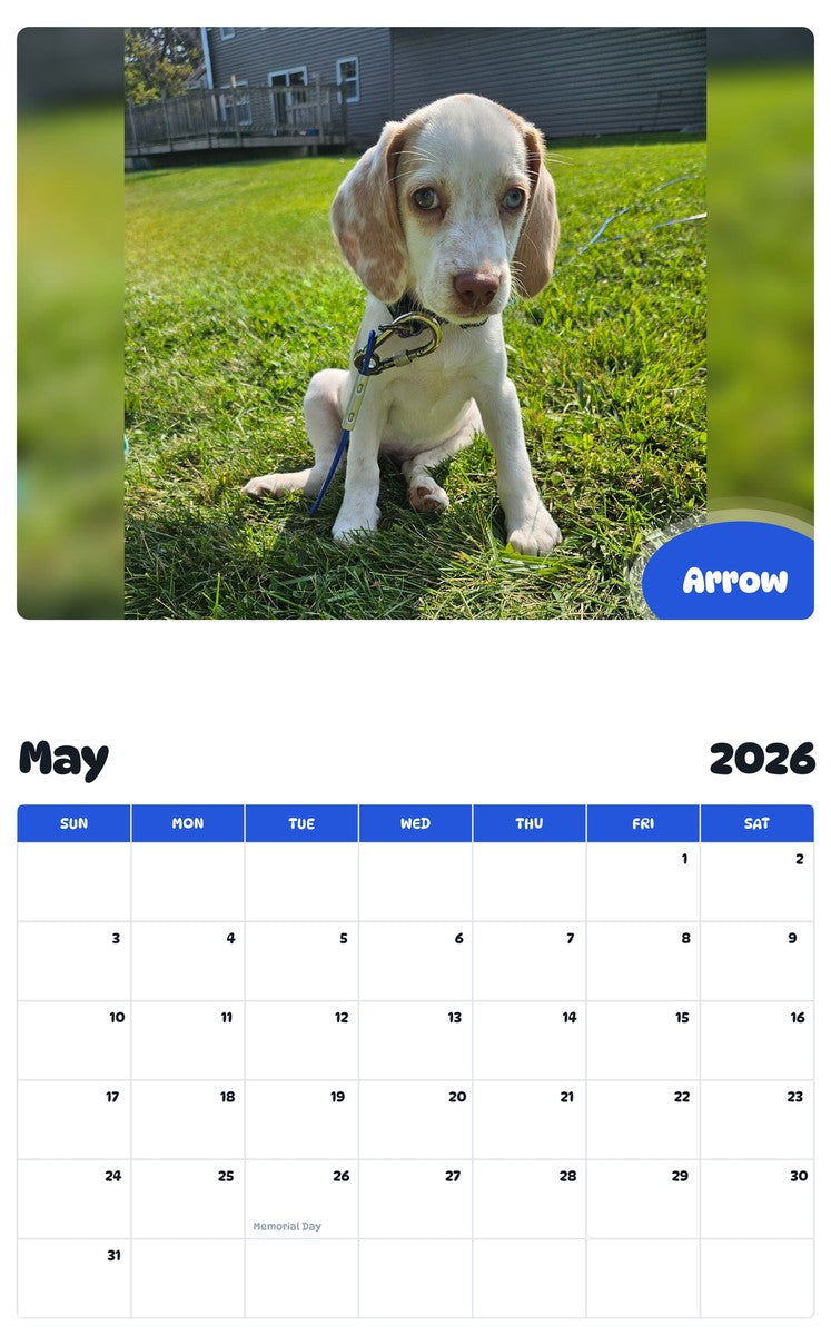 2026 - 2027 Arrow - Pawidols Pet Calendar