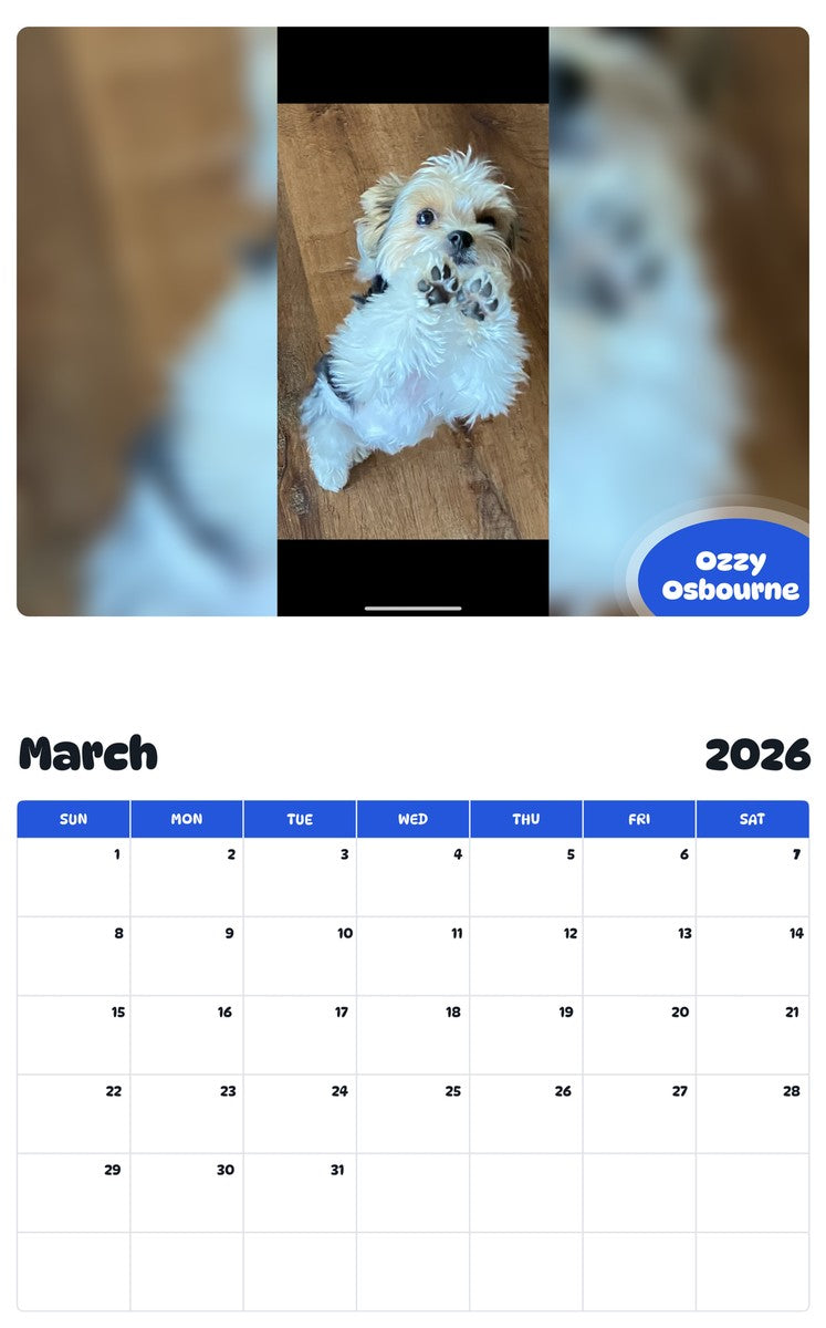 November 2025 - October 2026 Ozzy Osbourne - Pawidols Pet Calendar