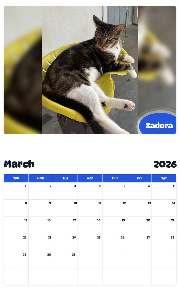 November 2025 - October 2026 Zadora - Pawidols Pet Calendar