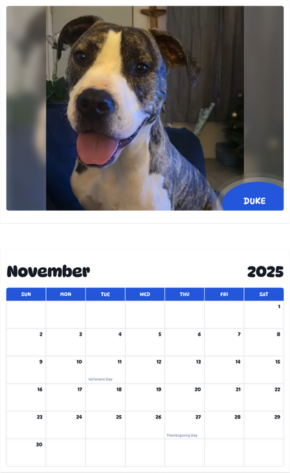 July 2025 - June 2026 Duke - Pawidols Pet Calendar