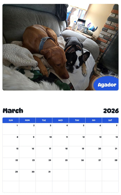 November 2025 - October 2026 Agador - Pawidols Pet Calendar