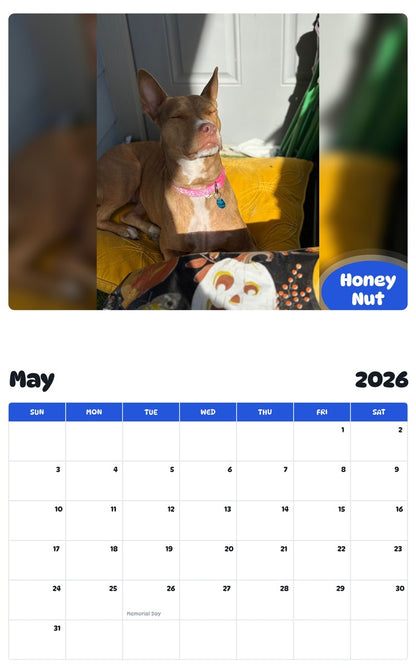 2026 - 2027 Honey Nut - Pawidols Pet Calendar