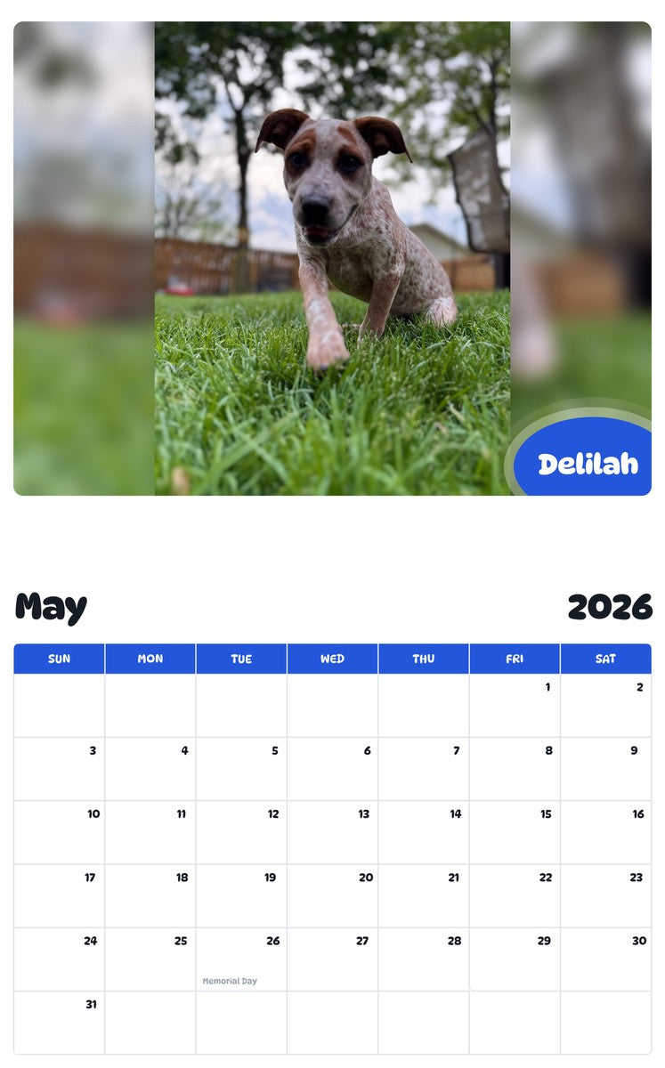 2026 - 2027 Delilah - Pawidols Pet Calendar