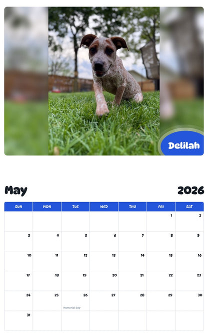 2026 - 2027 Delilah - Pawidols Pet Calendar