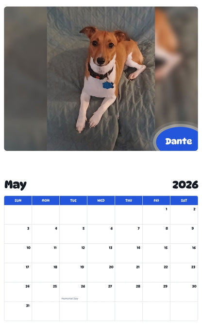 2026 - 2027 Dante - Pawidols Pet Calendar