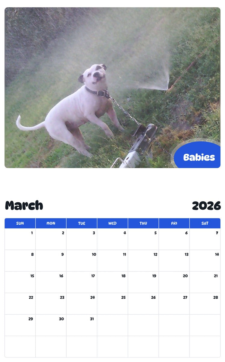 November 2025 - October 2026 Babies - Pawidols Pet Calendar