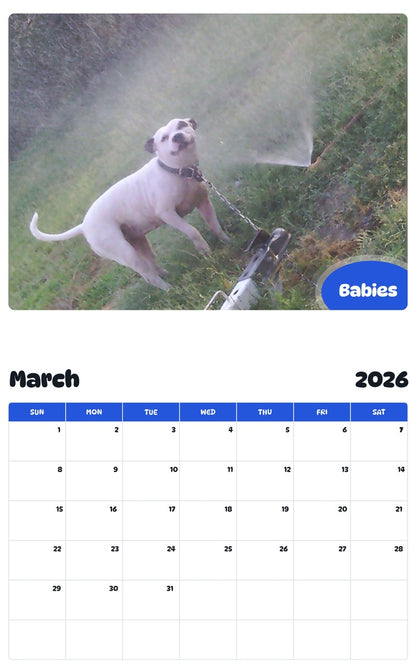 November 2025 - October 2026 Babies - Pawidols Pet Calendar