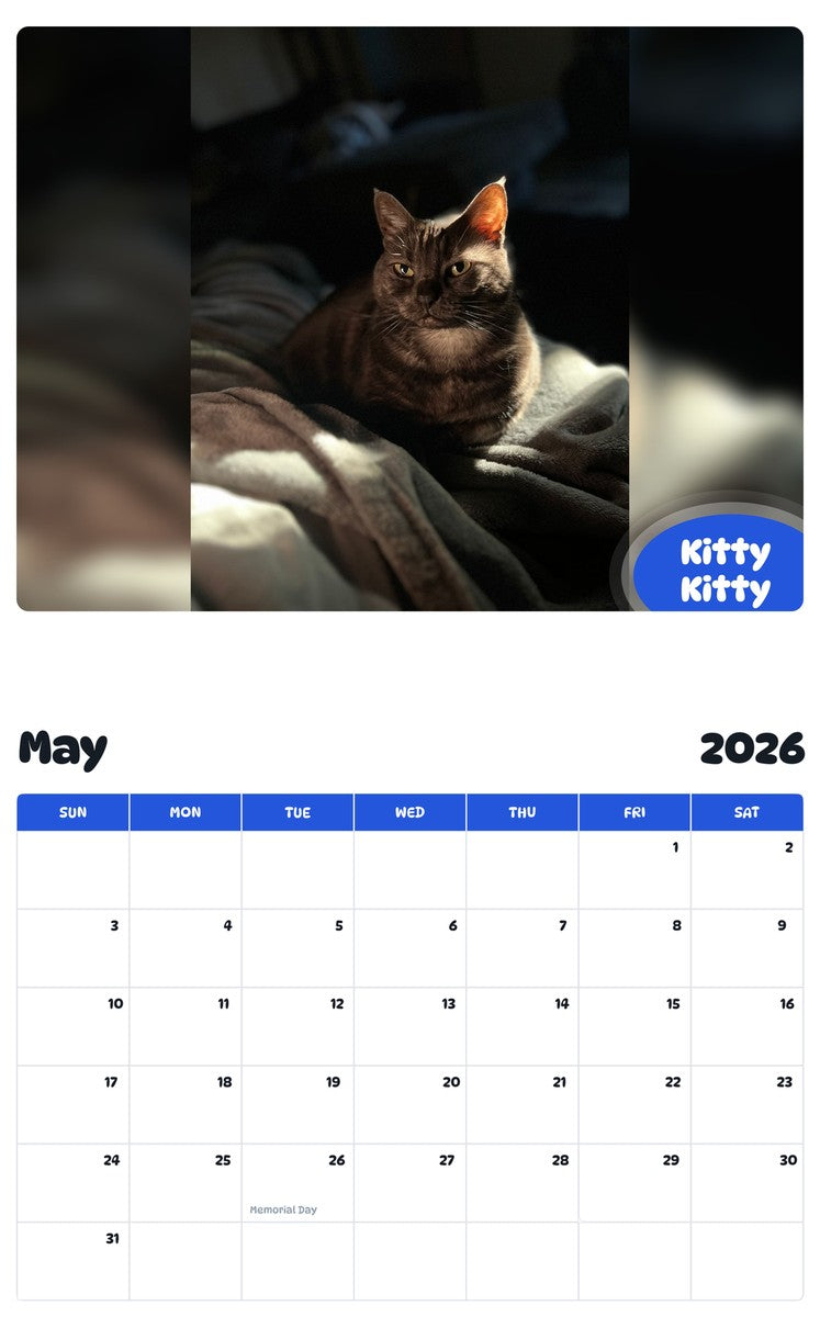 2026 - 2027 Kitty Kitty - Pawidols Pet Calendar
