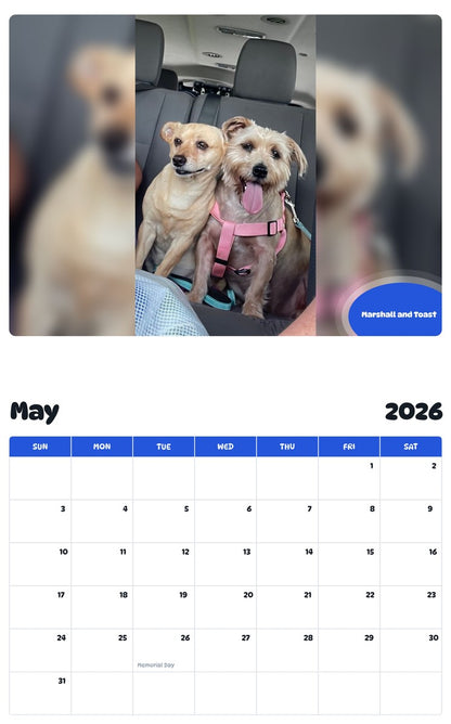 2026 - 2027 Marshall and Toast - Pawidols Pet Calendar