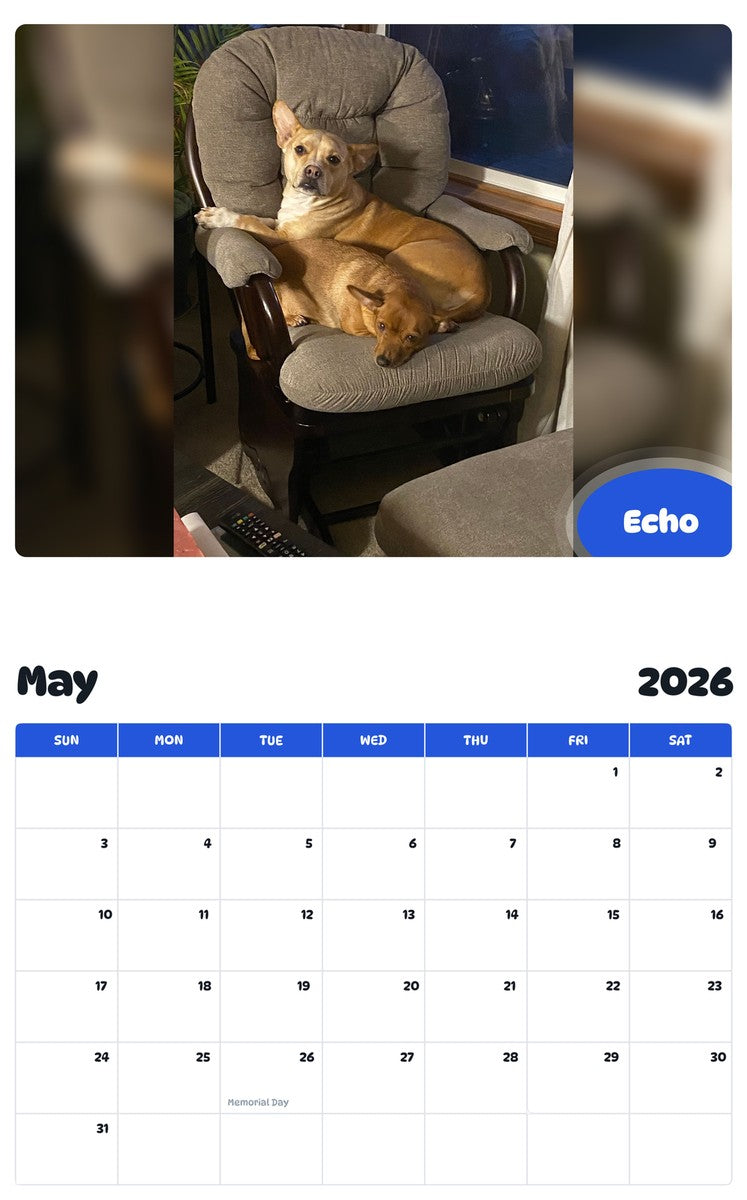 2026 - 2027 Echo - Pawidols Pet Calendar
