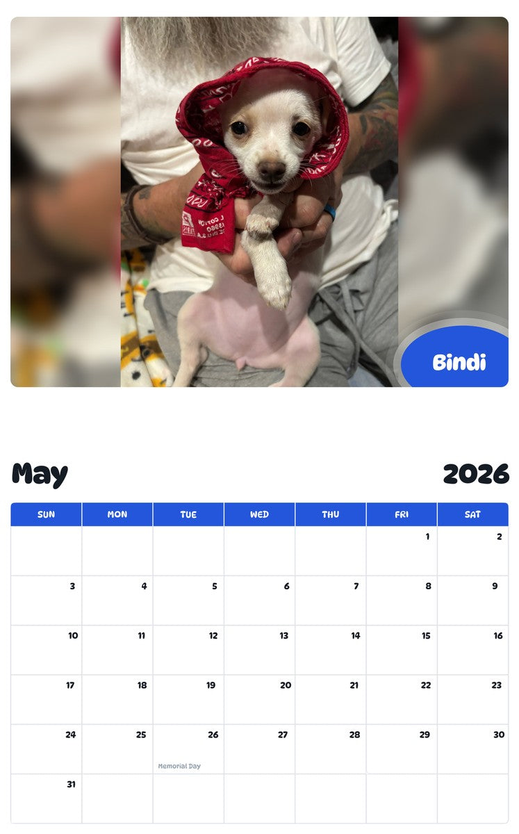 2026 - 2027 Bindi - Pawidols Pet Calendar