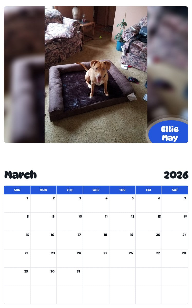 November 2025 - October 2026 Ellie May - Pawidols Pet Calendar