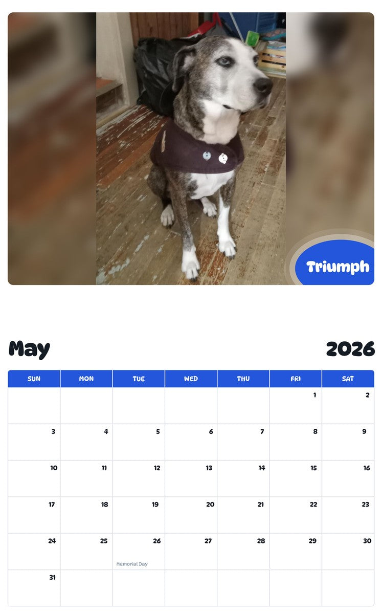 2026 - 2027 Triumph - Pawidols Pet Calendar