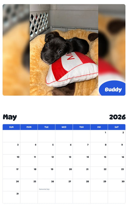 2026 - 2027 Buddy - Pawidols Pet Calendar