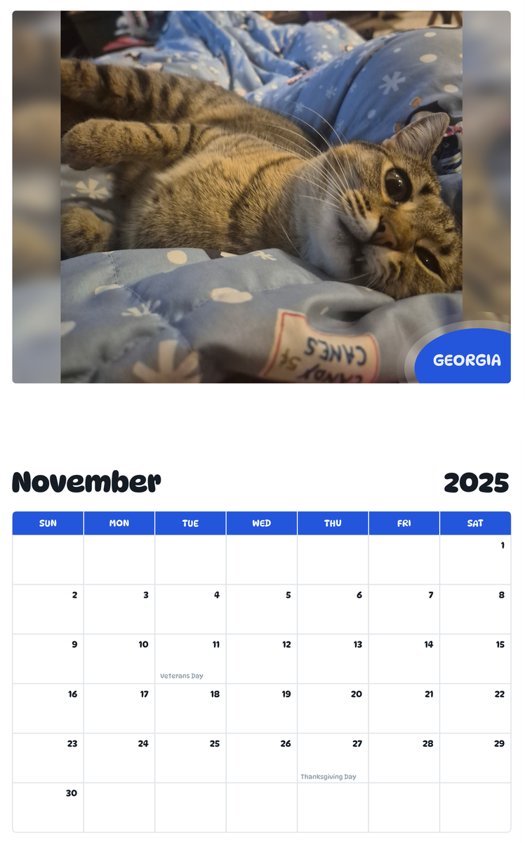 July 2025 - June 2026 Georgia - Pawidols Pet Calendar