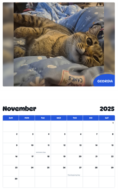 July 2025 - June 2026 Georgia - Pawidols Pet Calendar