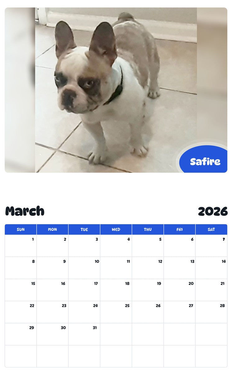 November 2025 - October 2026 Safire - Pawidols Pet Calendar