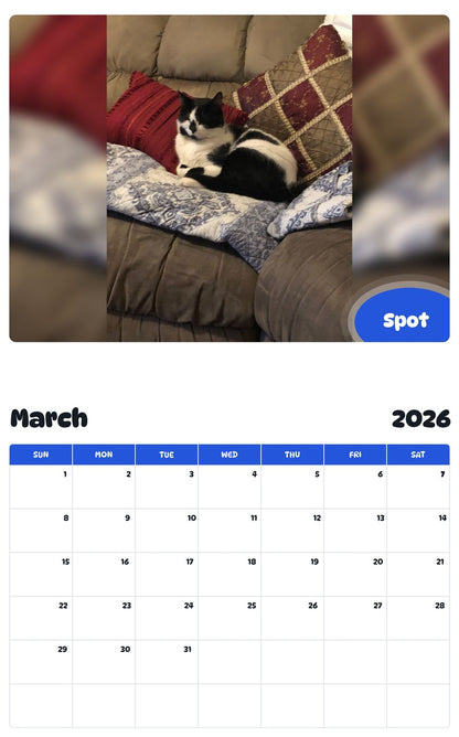 November 2025 - October 2026 Spot - Pawidols Pet Calendar